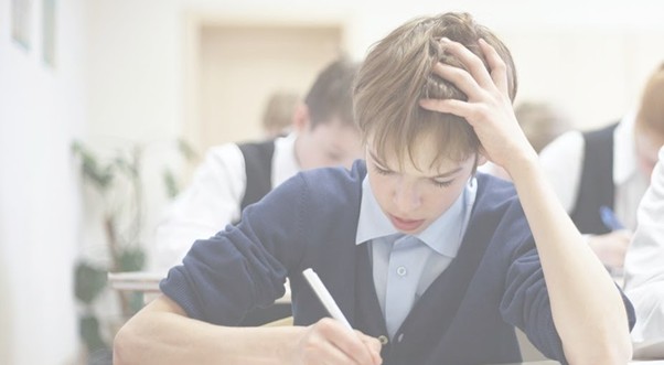 Male student studying looking stressed